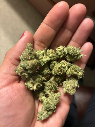 Customer photo review of 1 Gram Pre-Roll (Indica)