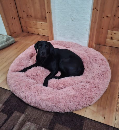 Customer photo review of Puppery Hundebett Wolke 7 - Das Original