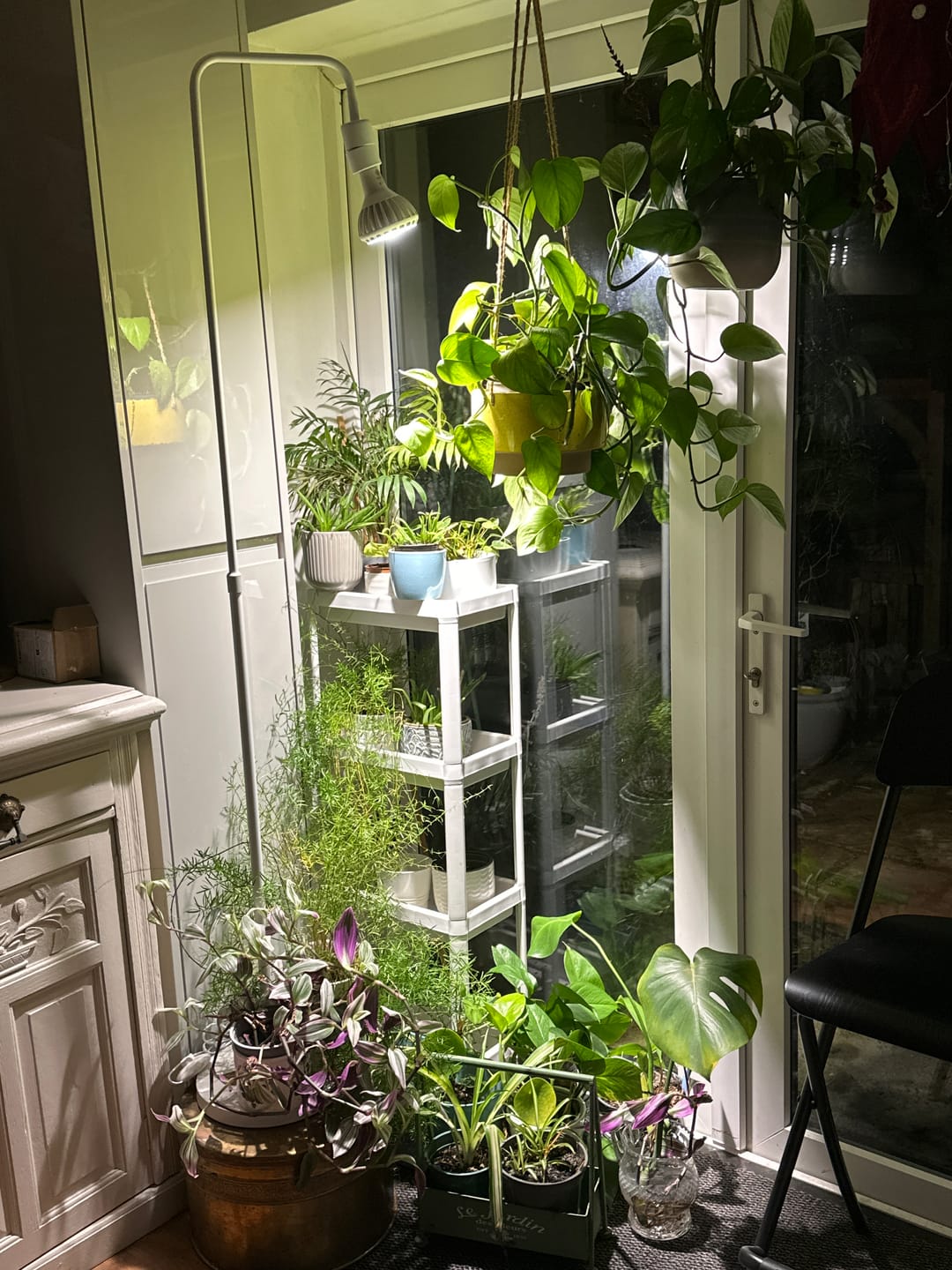 Customer photo review of Pianta Grow Light and Adjustable Floor Lamp Bundle