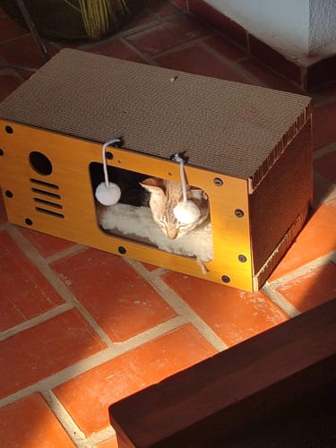 Customer photo review of CT7773 1 Pieza De Rascador Para Mascota