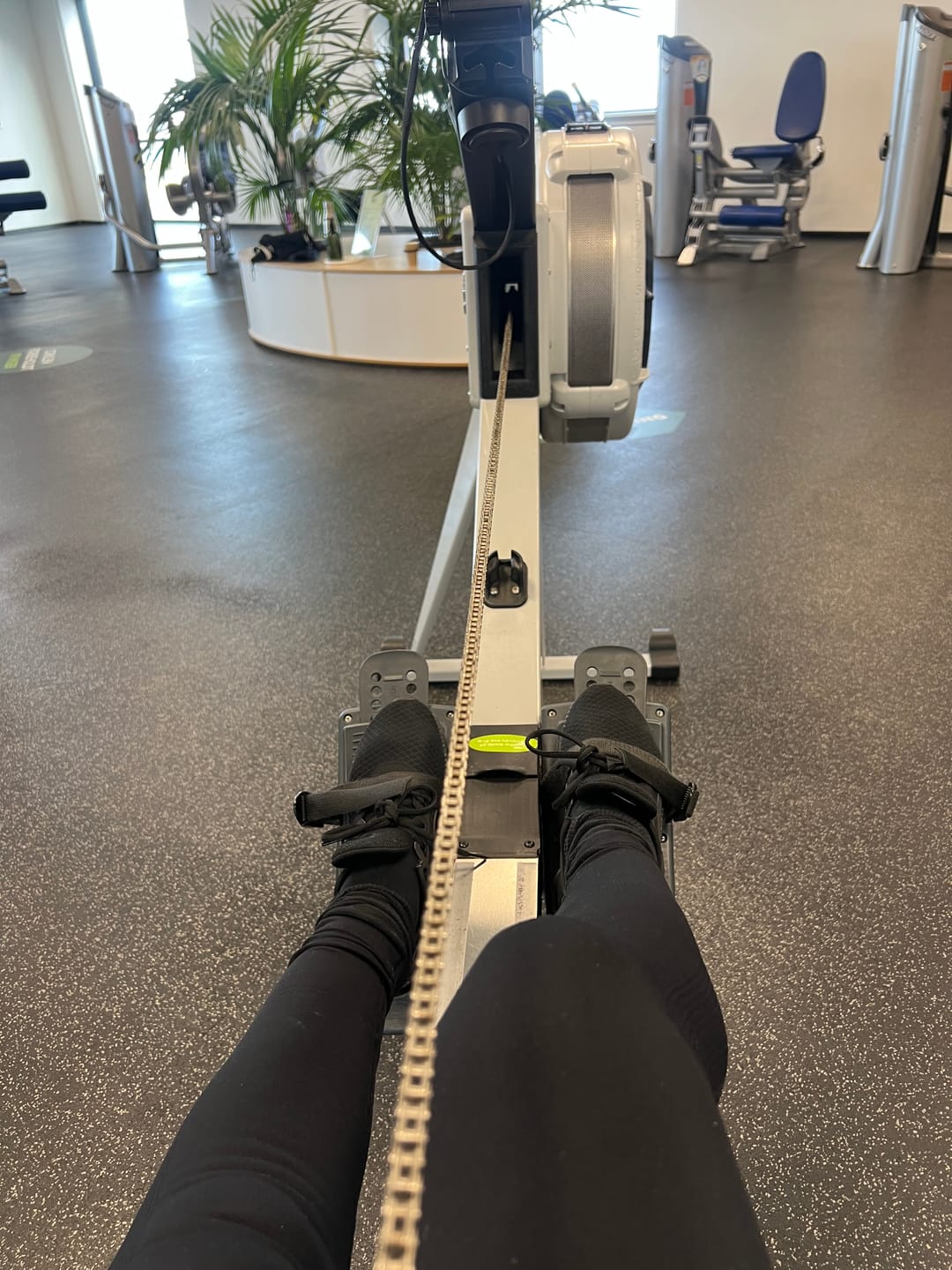 Customer photo review of Seamless Anti Cellulite Leggings