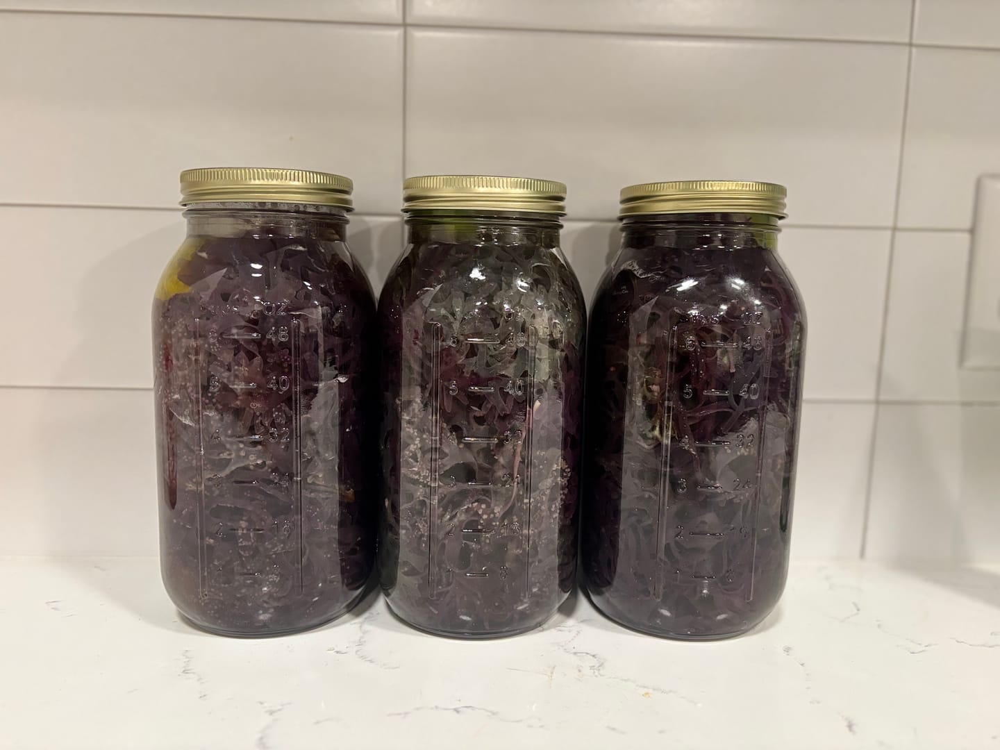 Customer photo review of Purple Chondrus Dr Sebi Sea Moss High Mineral Content Real Wildcrafted Sea Moss from the rocks-
