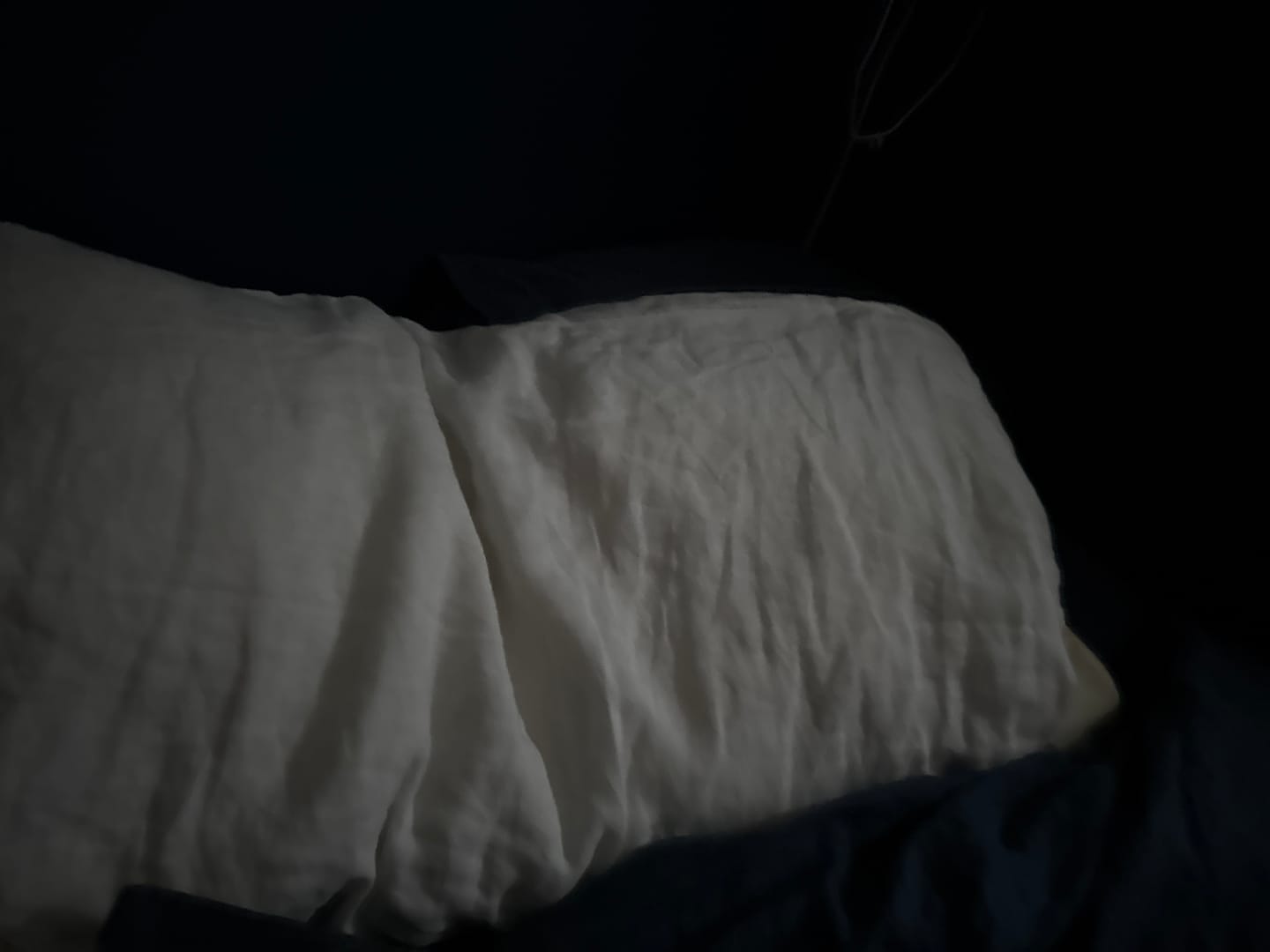 Customer photo review of Sömn Linen Pillowcase