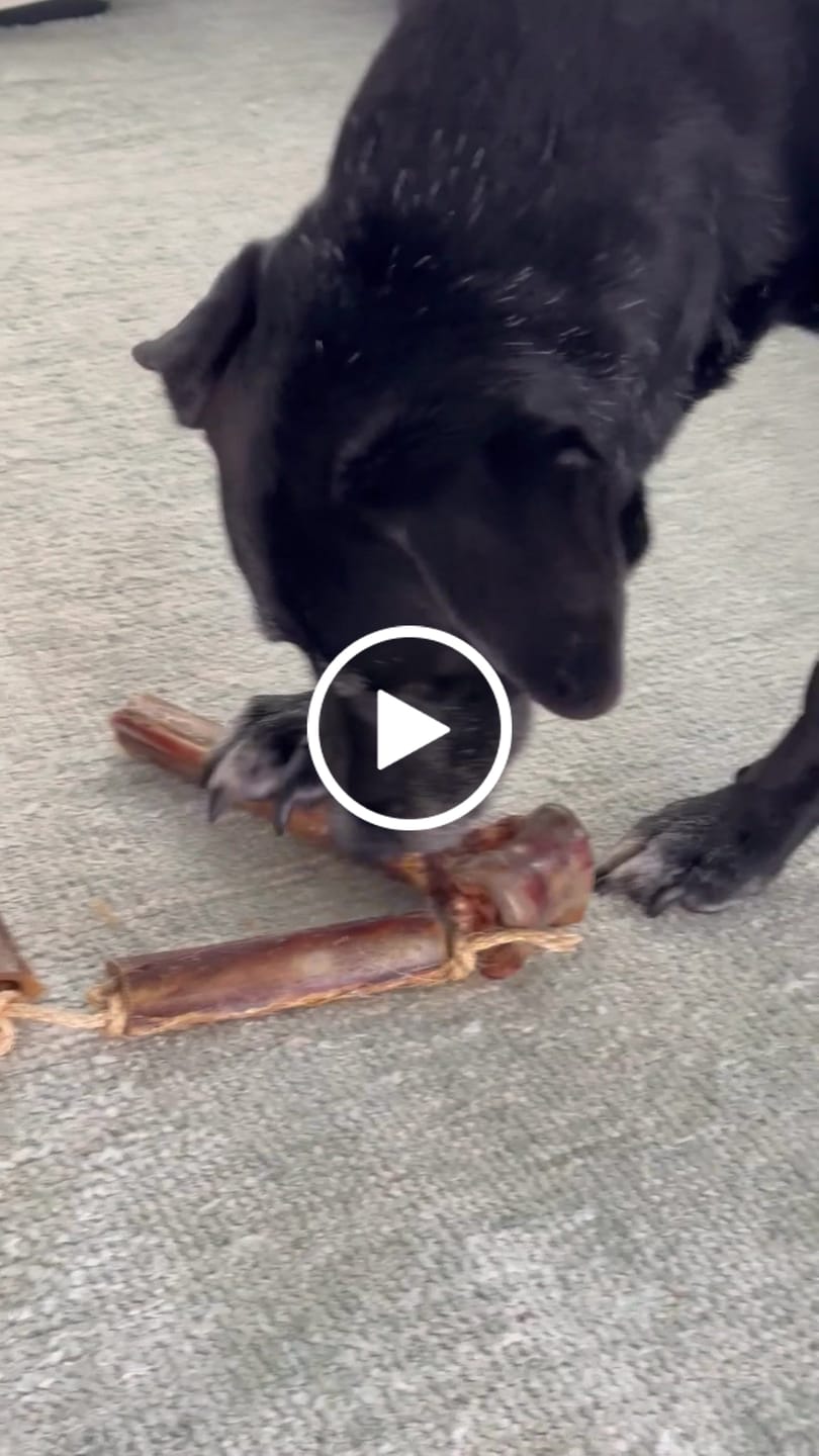 Customer video review of Mystery Gift