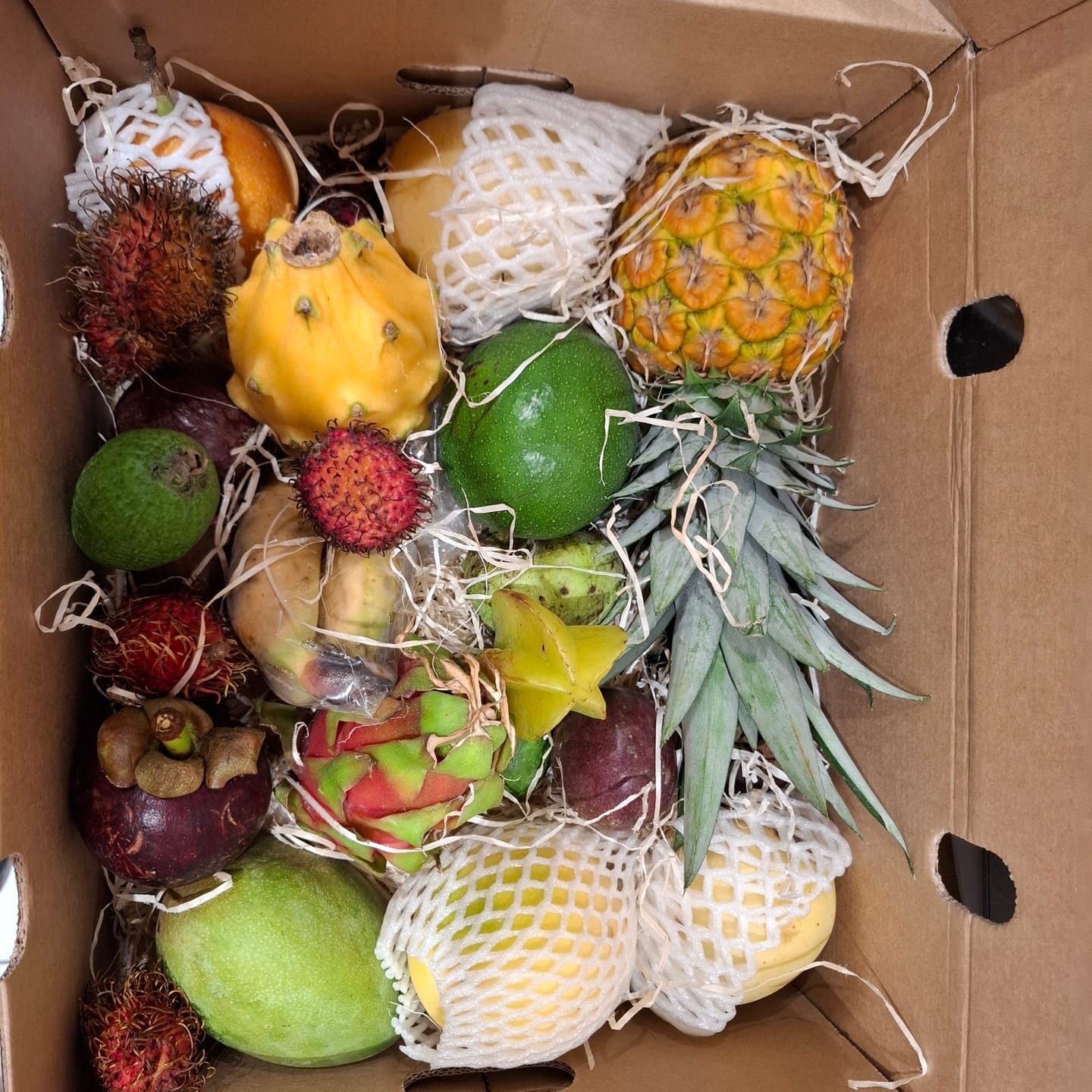 Customer photo review of Tropenreise Südamerika Box