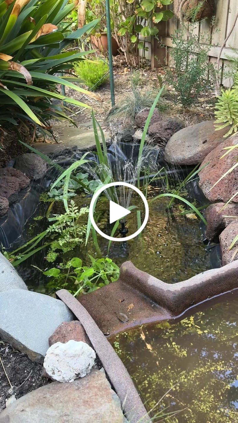 Customer video review of Solar Fountain Pump & Panel w/ Inbuilt Battery - 250LPH