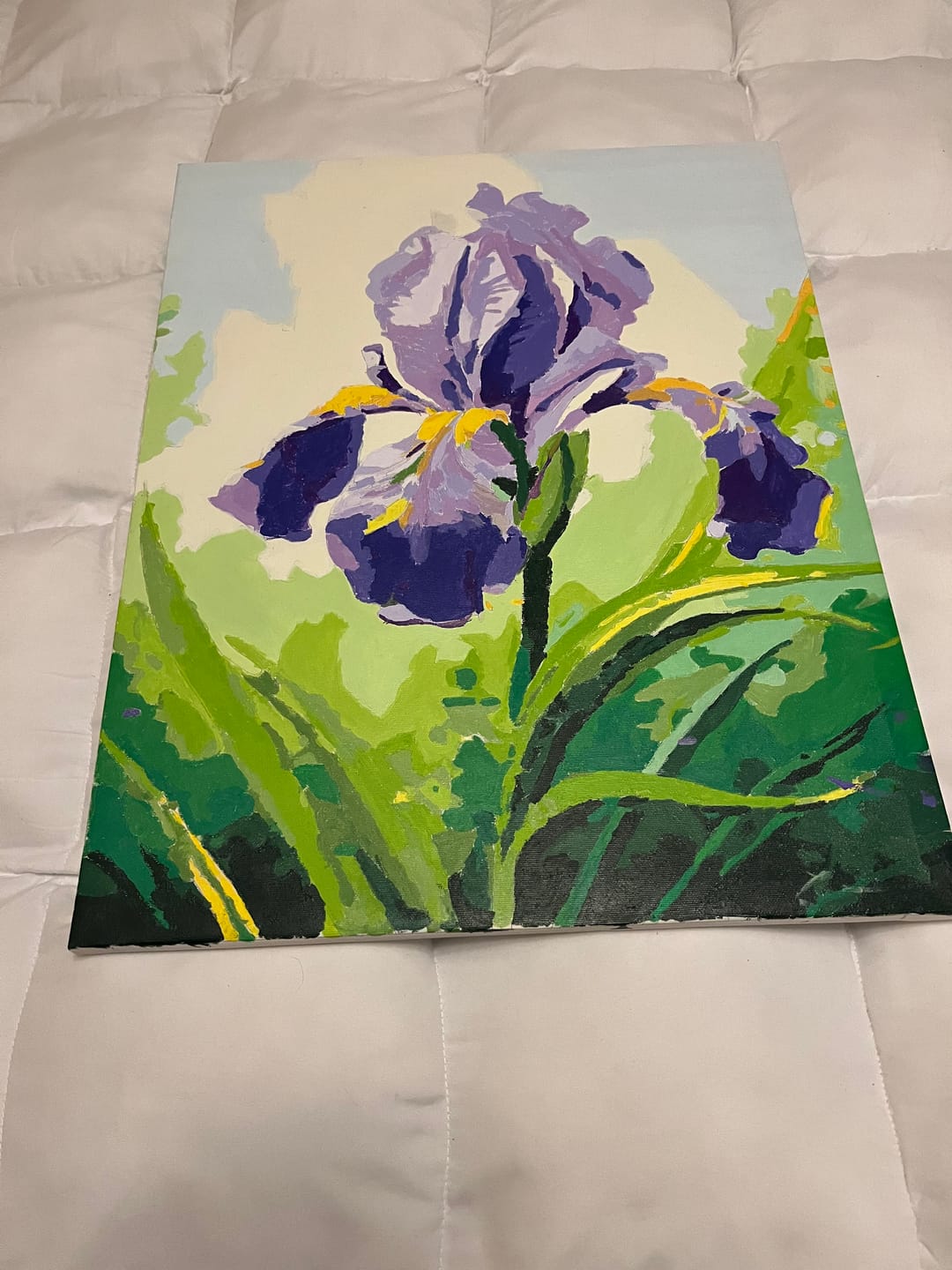 Customer photo review of Sunlit Iris