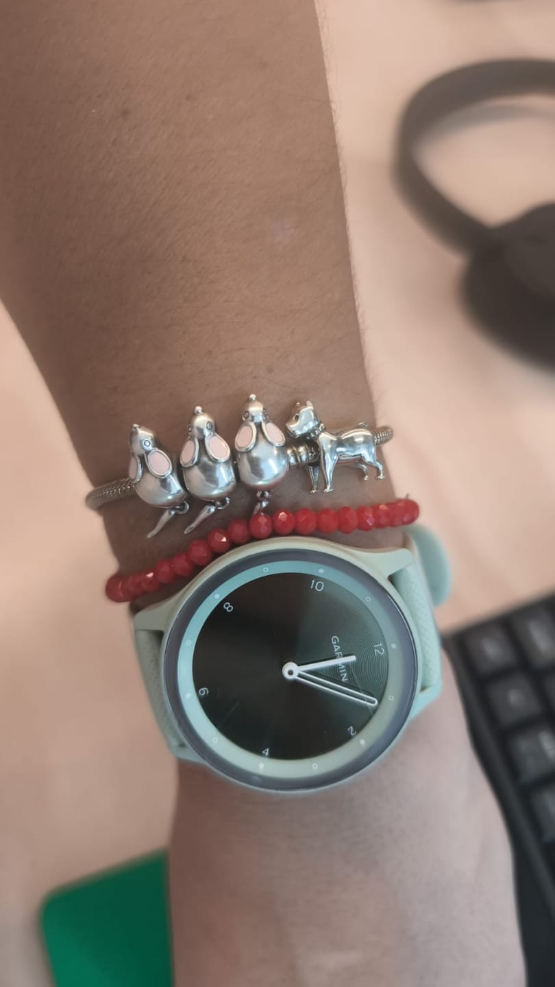 Customer photo review of Charm Pitbull