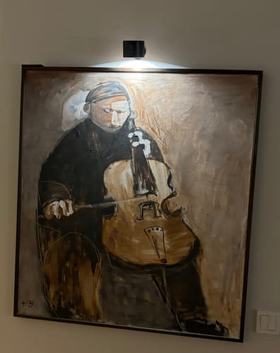Kundefotogennemgang af LumiHalo