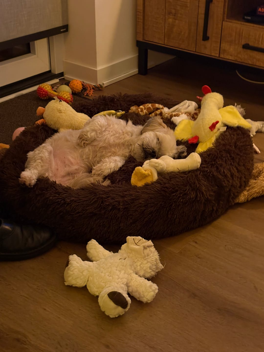 Customer photo review of Pet Perfect Fluffy Donut Hondenmand - Rond - Wasbaar