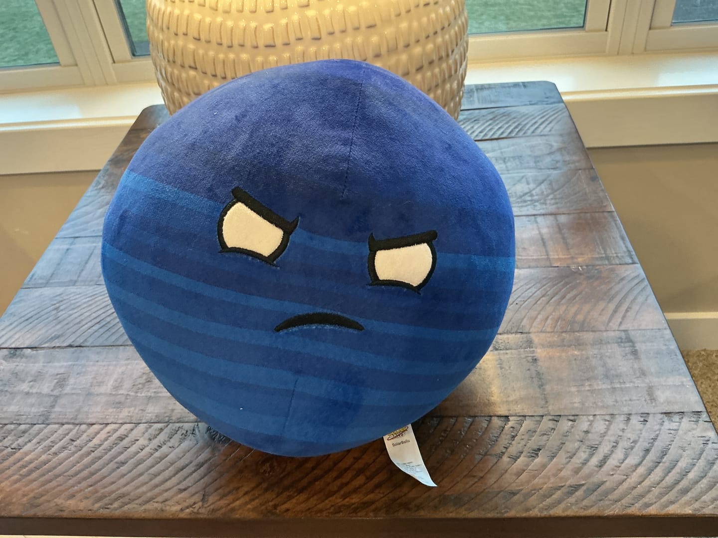 Customer photo review of The SolarBalls Planet X Plush