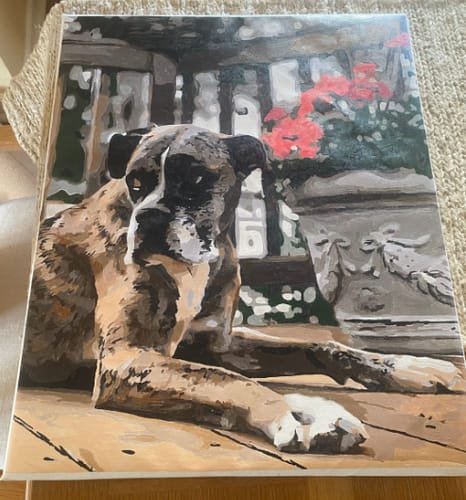 Customer photo review of Custom Pet Paint By Numbers