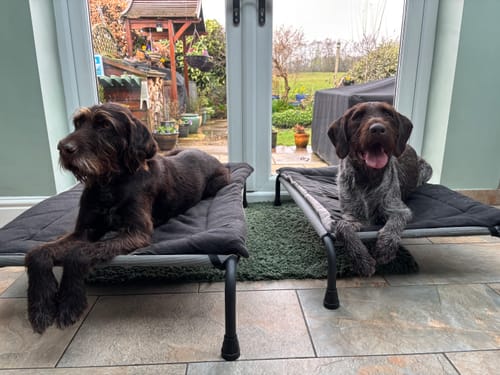 Customer photo review of Black & Grey Reversible Pad