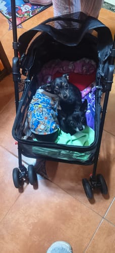 Customer photo review of CT4195 1 Pieza De Carriola Plegable Para Mascotas