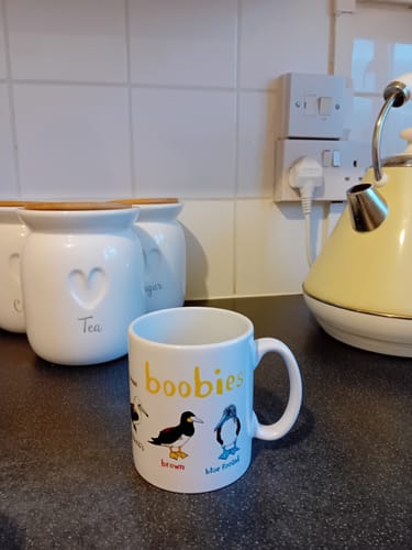 Customer photo review of Boobies Ceramic Bird Mug