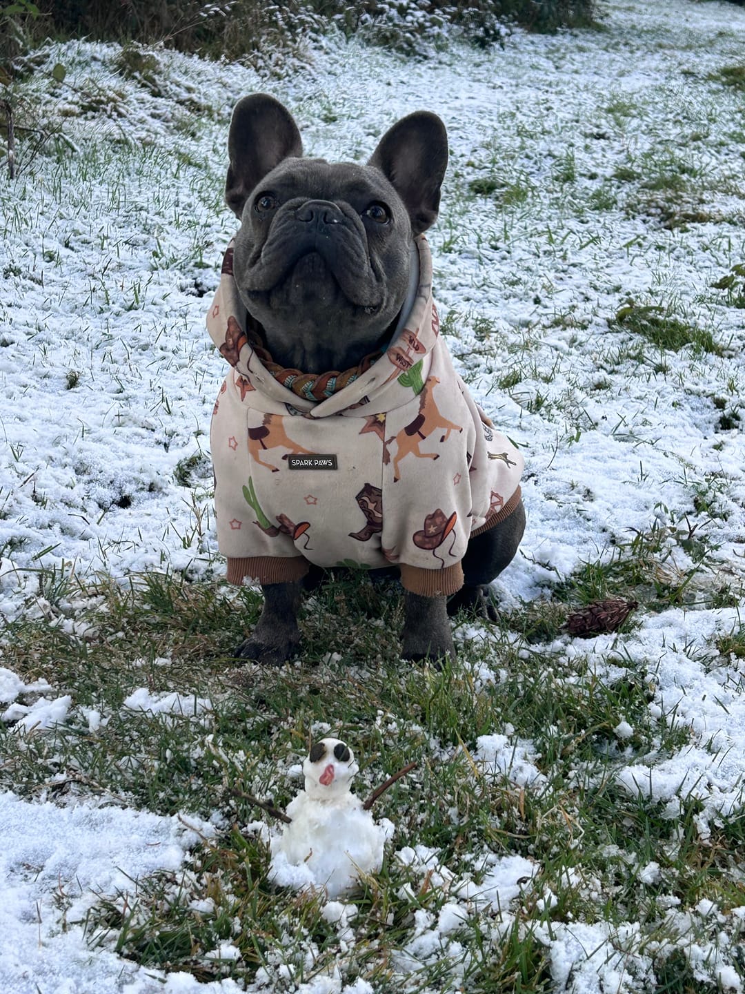Customer photo review of Rodeo Dog Hoodie