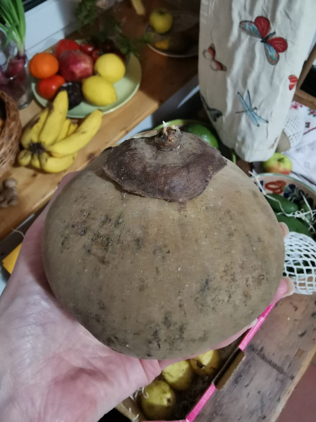 Customer photo review of Sapote Purple (Zapote Morado)