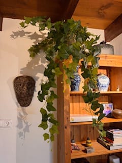 Customer photo review of Hedera Kunst Hangplant 110cm