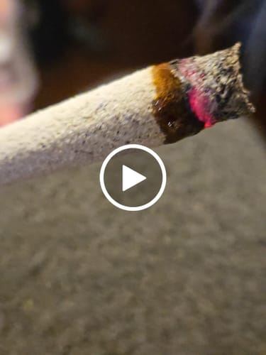 Customer video review of JOKERS SUGAR CONES