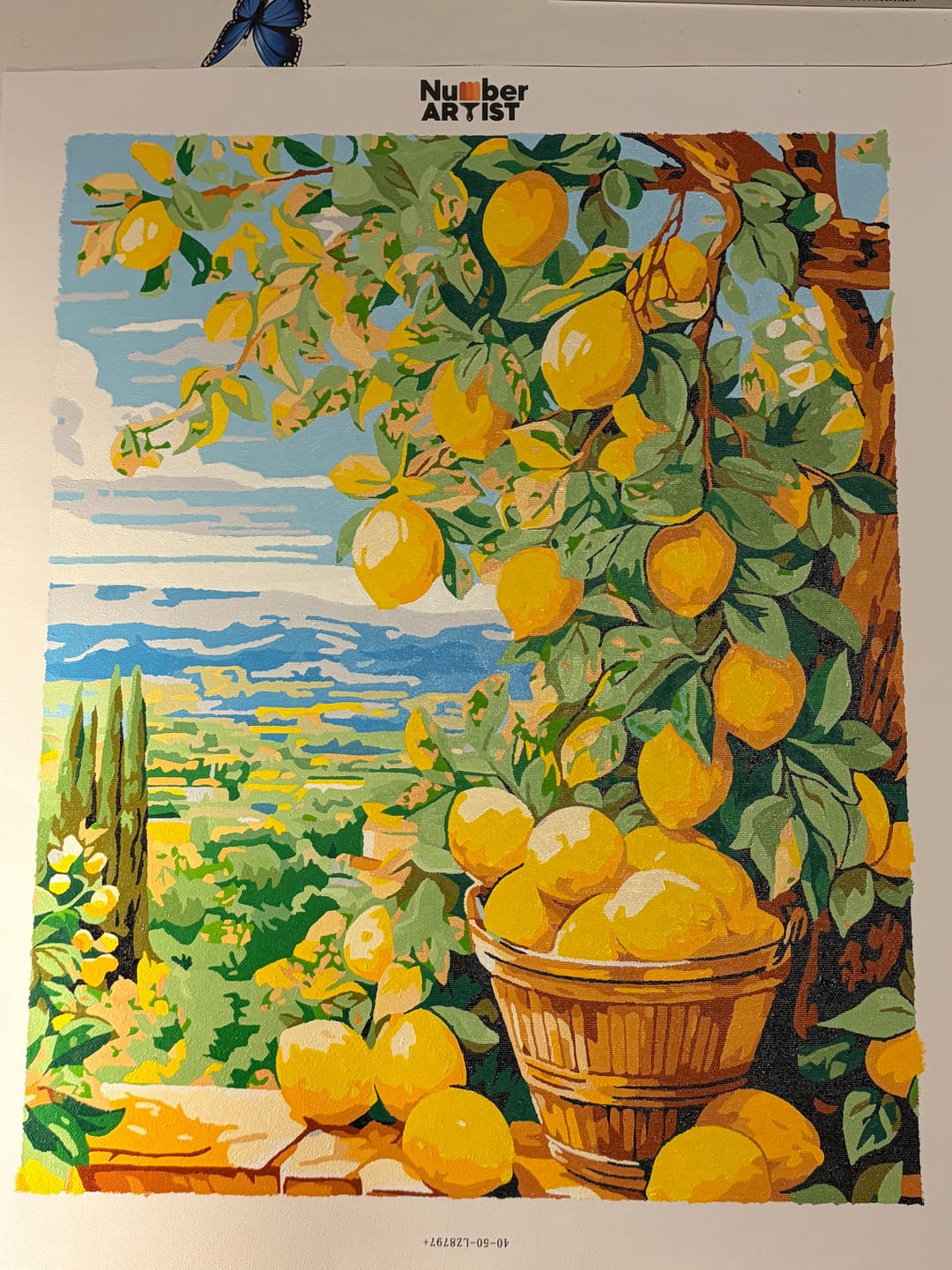 Customer photo review of Bounty Lemons