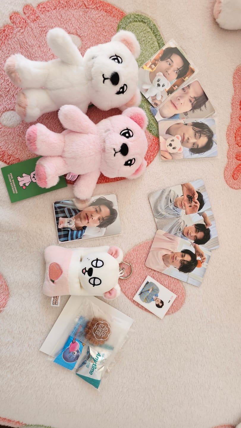 Customer photo review of LEE DONG WOOK [WOOKDONG’s Home Sweet Home] Wookdong Plush Keyring