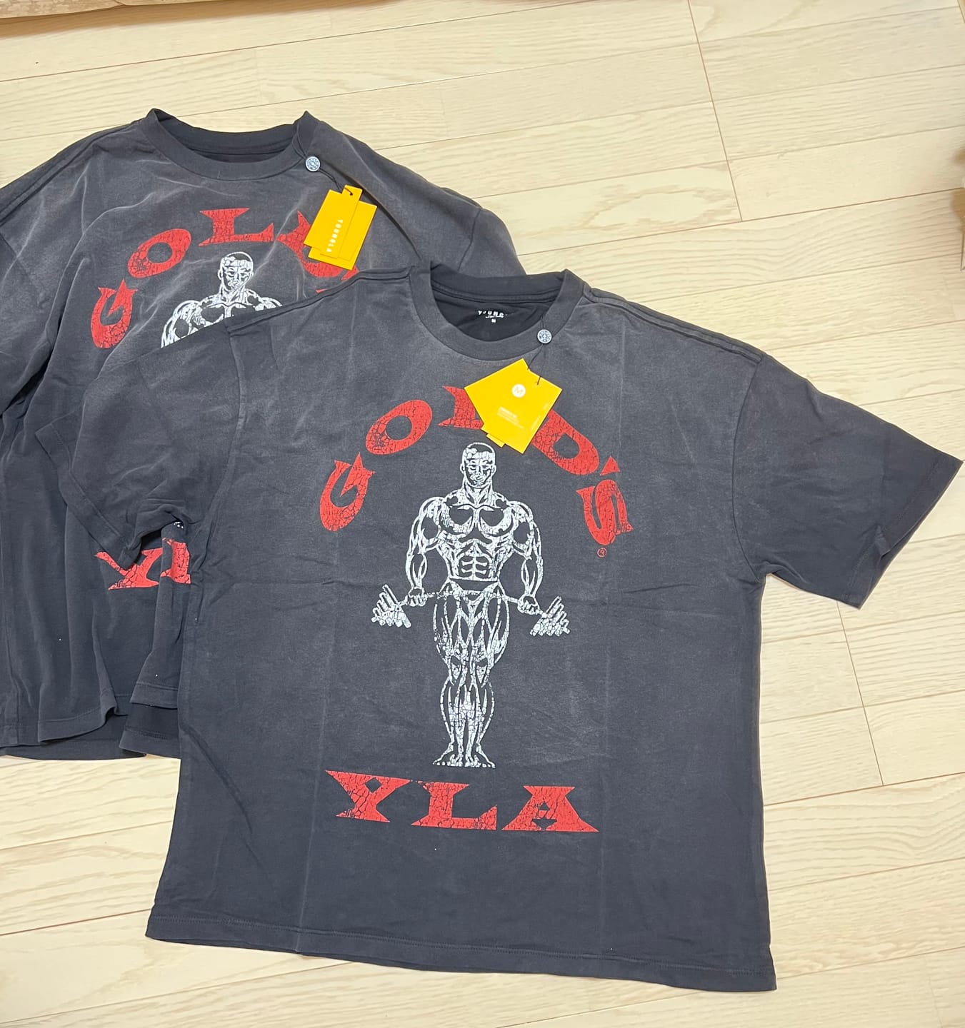 Customer photo review of 4213 - Gold's Iron Legacy Icon Tees
