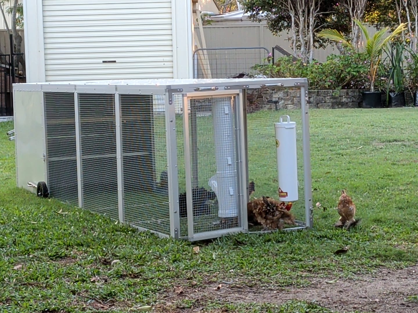 Customer photo review of Galvanized Mesh Floor for Chicken Coop