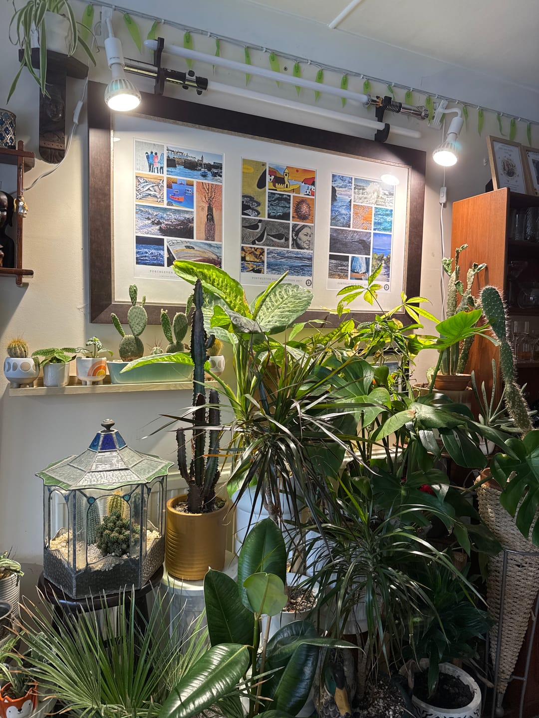 Customer photo review of Pianta Grow Light and Stelo Clip-On Bulb Holder Bundle