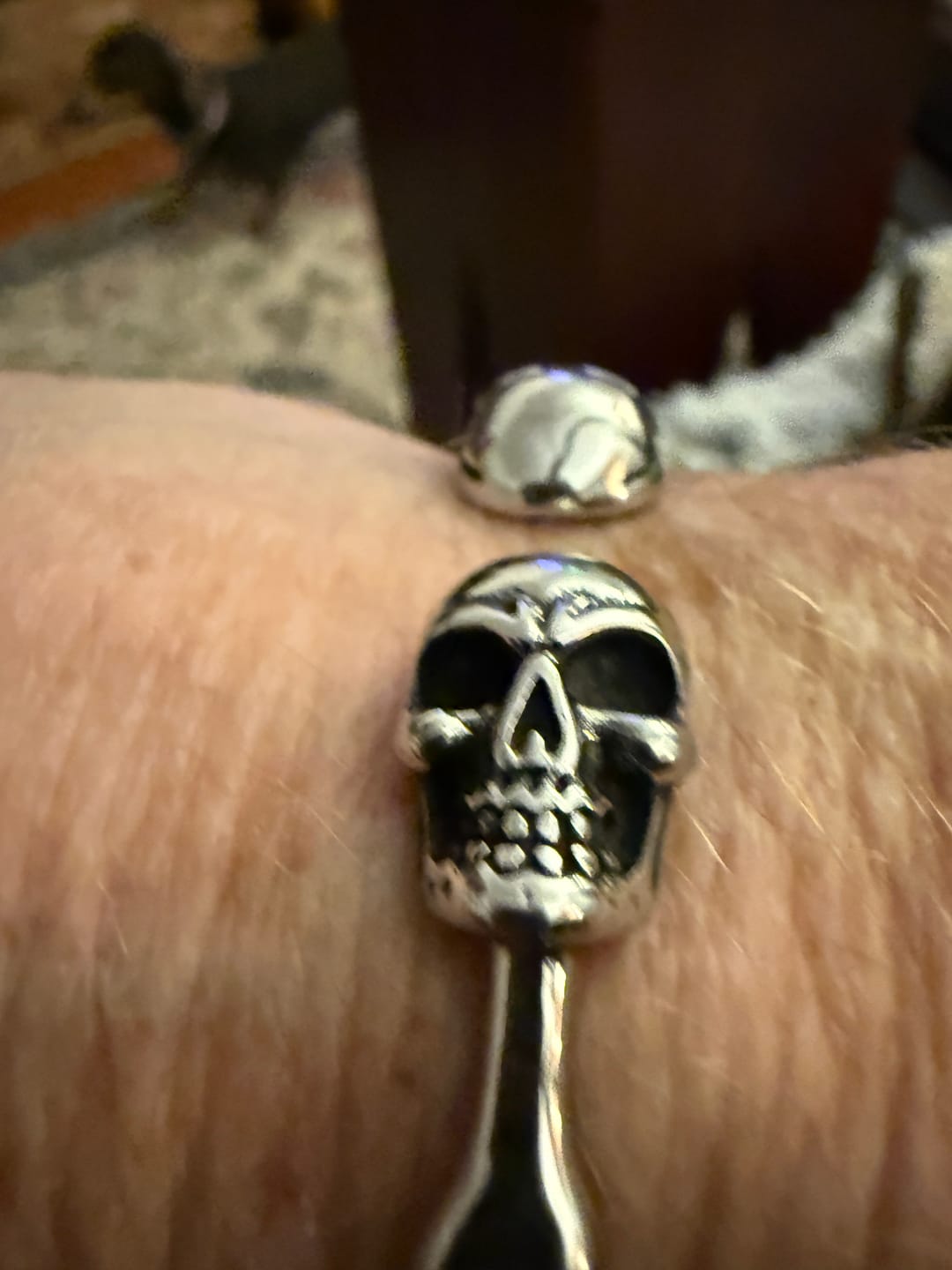 Customer photo review of SKULLED.