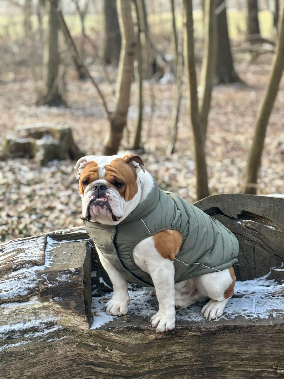 Customer photo review of WarmShield Water-Resistant Jackets