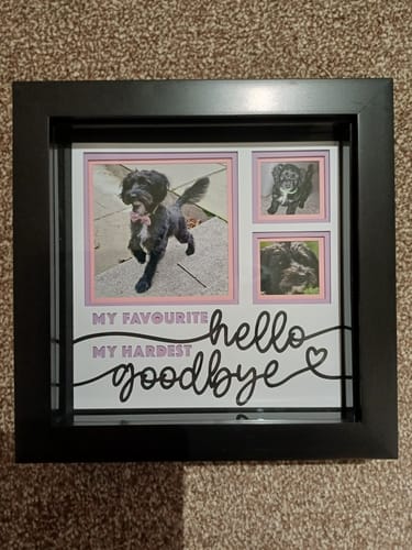 Customer photo review of Crafting Memories SVG Mega Bundle