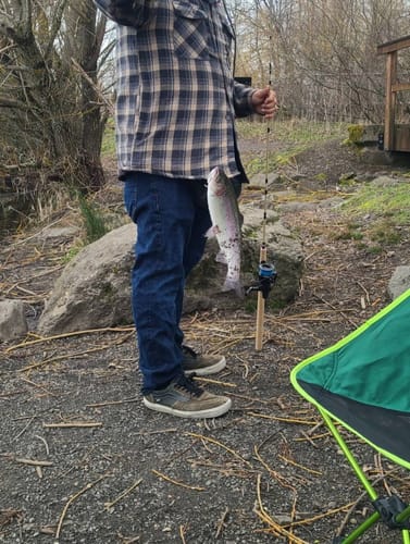 Customer photo review of 5'6" 3-Piece Trout Freshwater No Excuses Travel Rod with Protective Case "Splinter"
