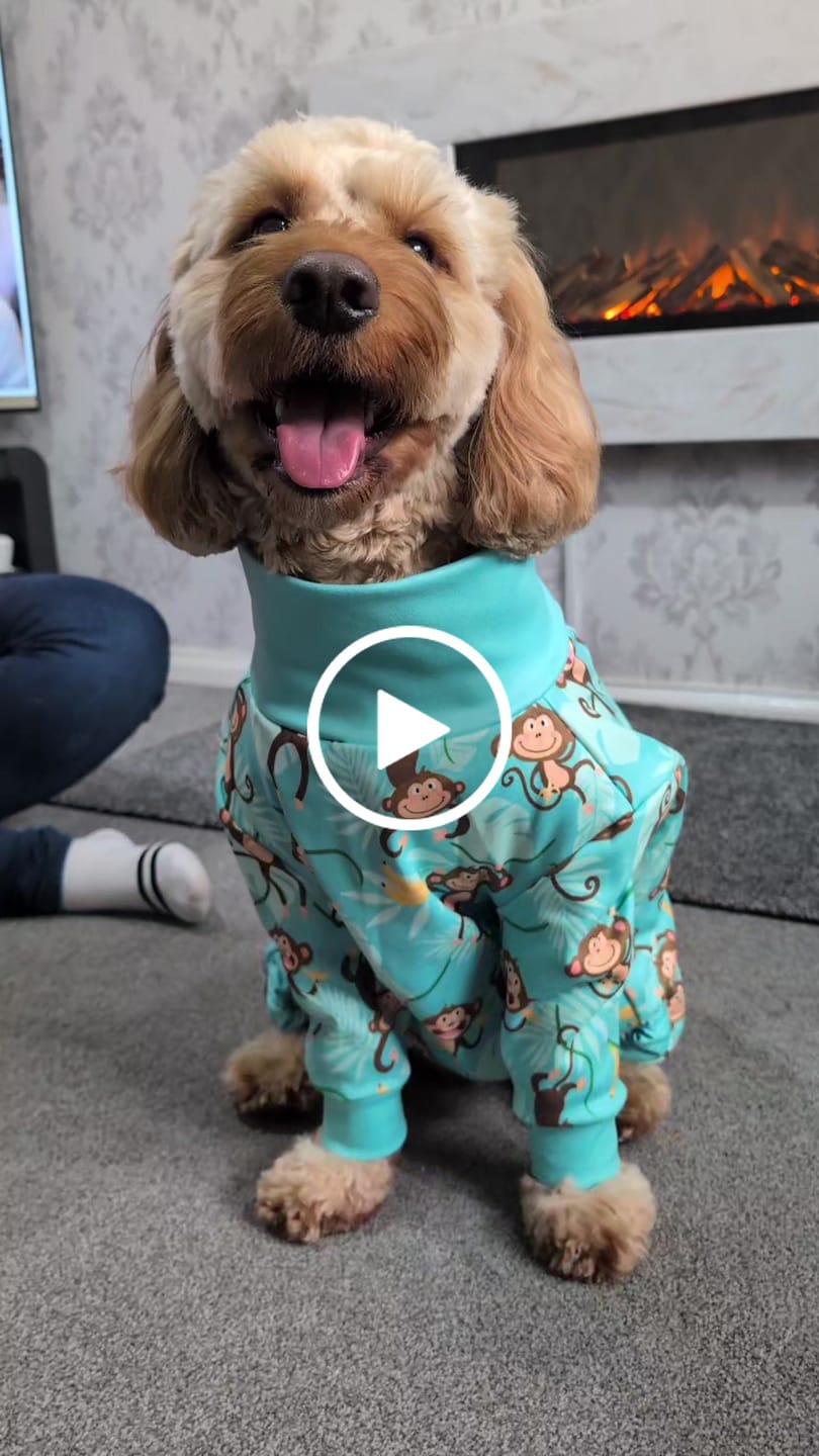 Customer video review of Dog Pajama - Monkey Business