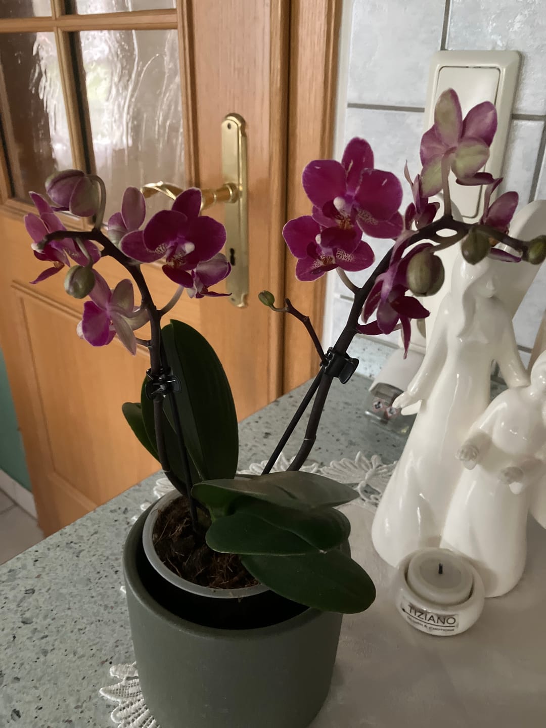 Customer photo review of Table Dance Chamonix mit weinroten Blüten und 2 Rispen
