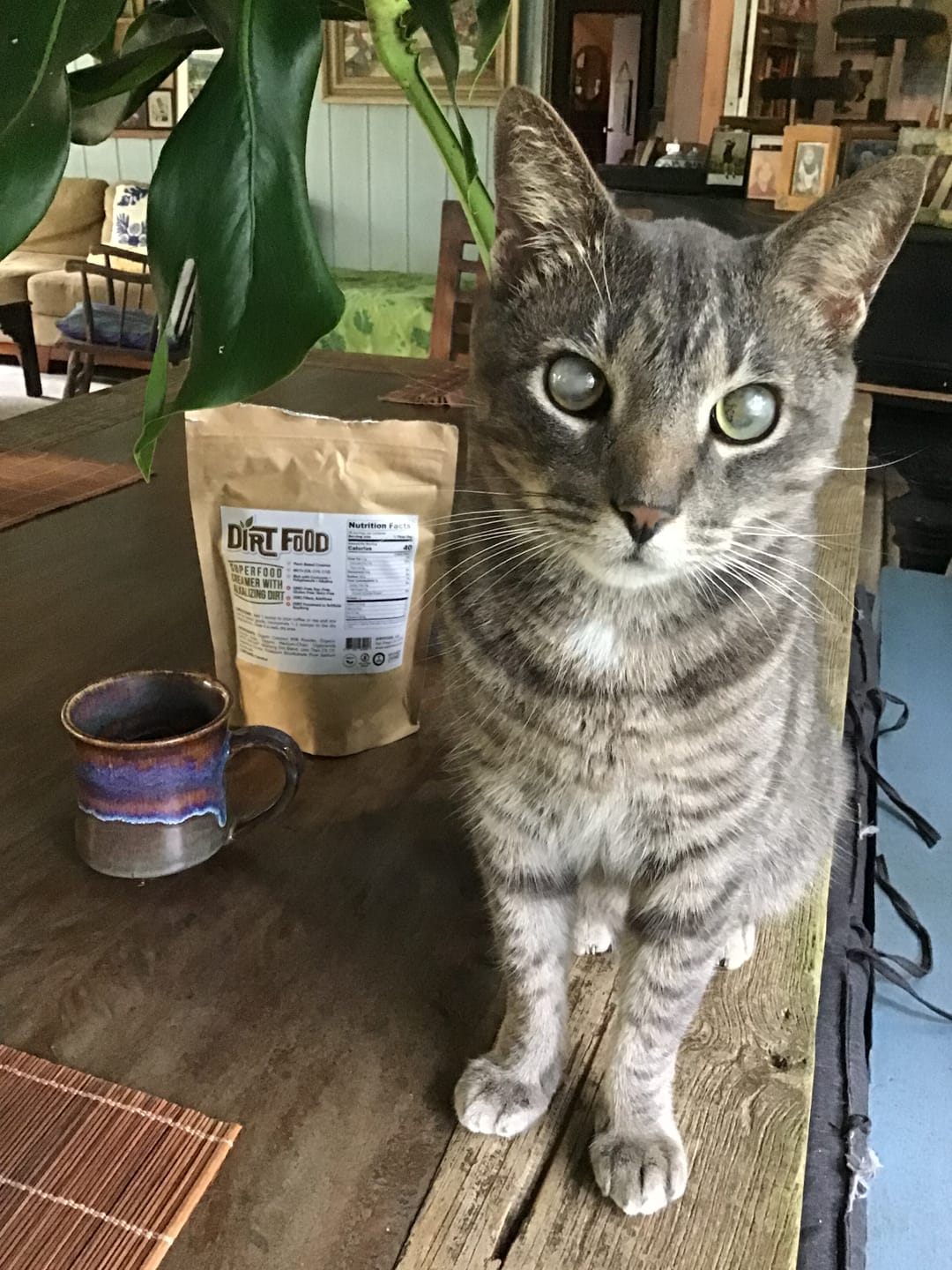 Customer photo review of Superfood Creamer with Alkalizing Dirt Blend (8oz)