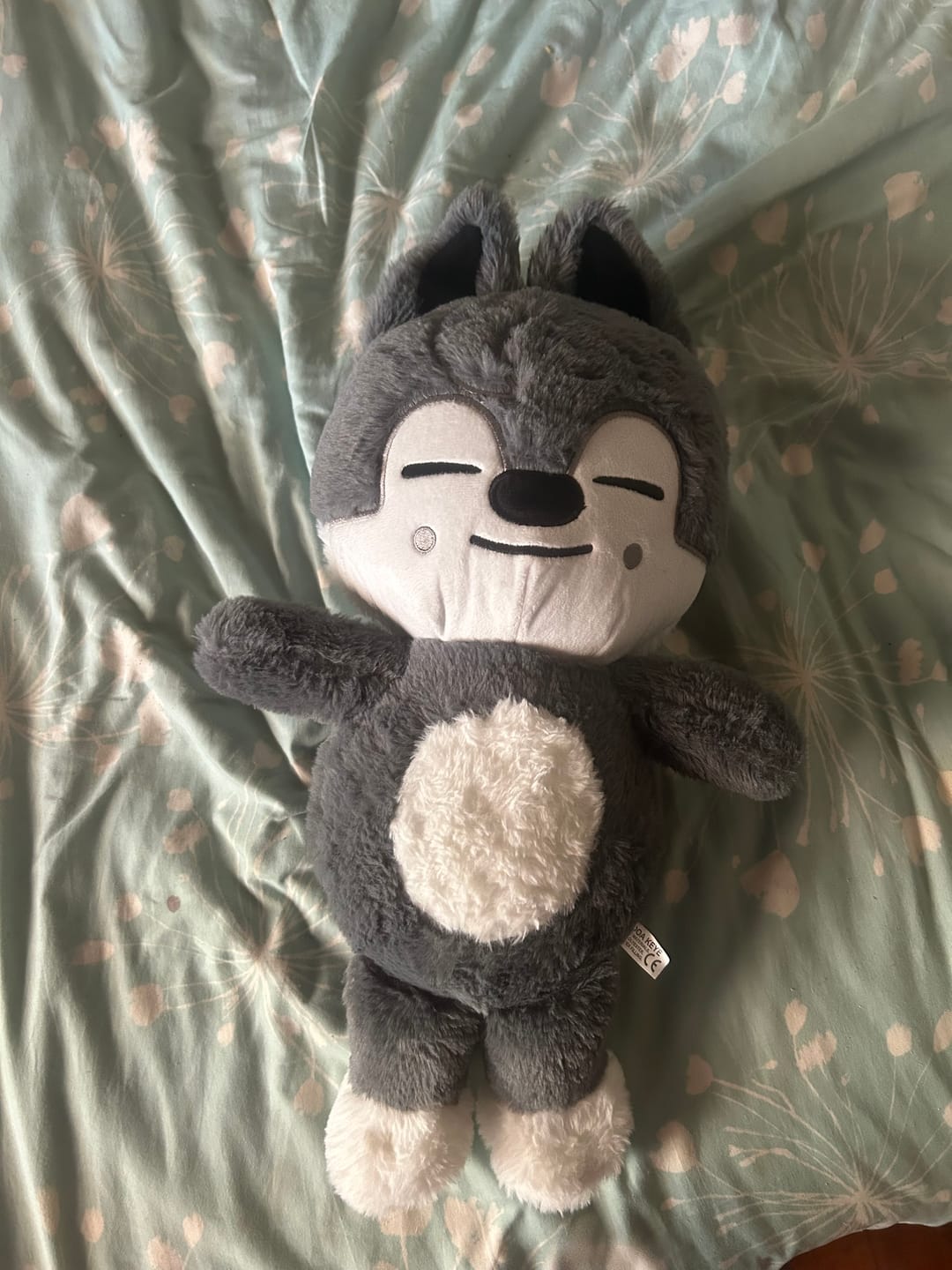 Customer photo review of SKZ Teddybear Plush
