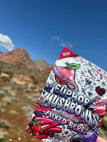 Customer photo review of Euphoric Mushrooms