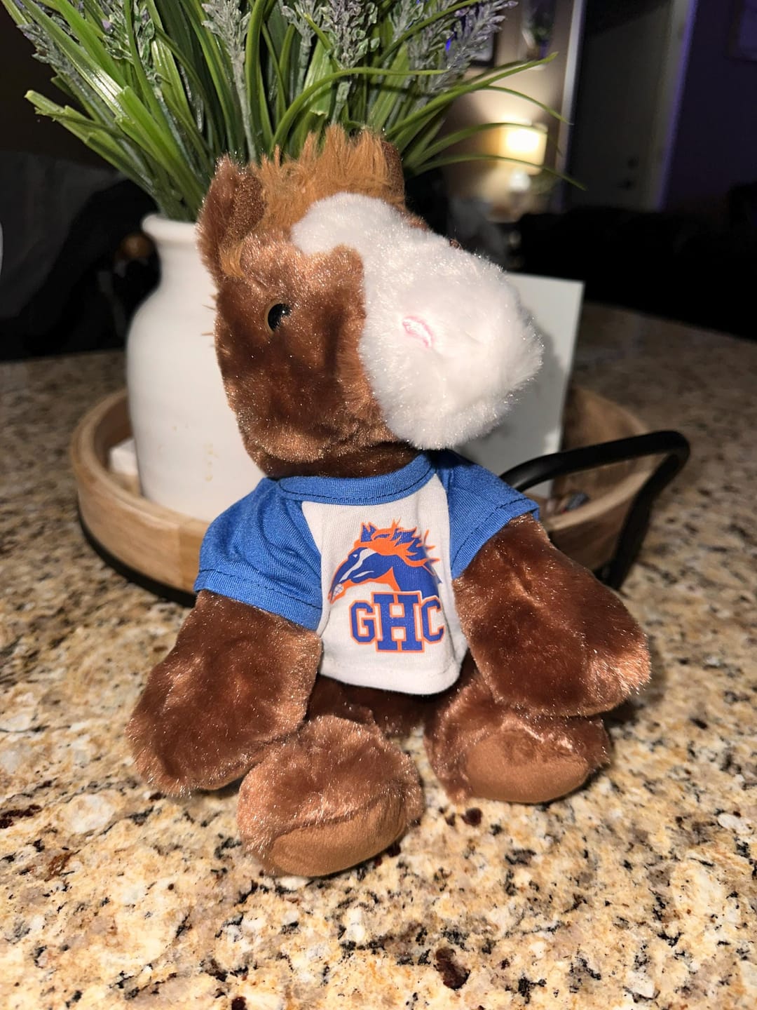 Customer photo review of Custom Stuffed Animal T‑Shirt — Fits 6–8 in Plush