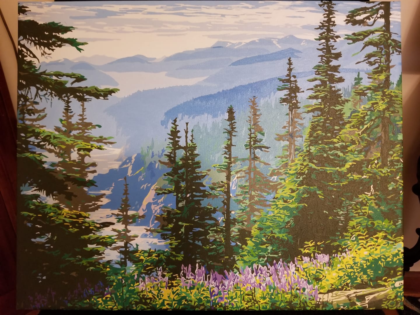 Customer photo review of Olympic National Park