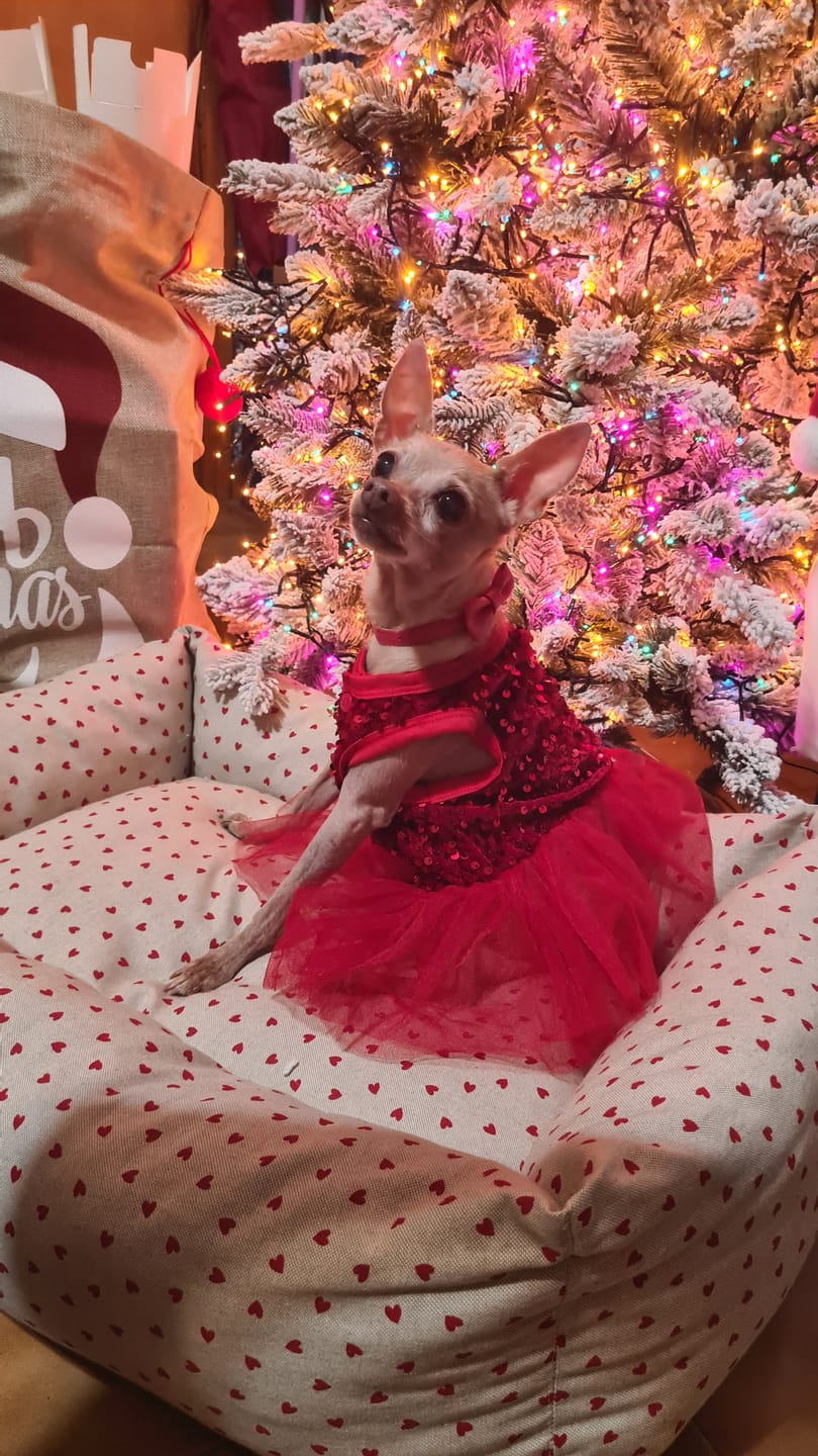 Customer photo review of Divanetto Cotone Panama Little Love Heart Red