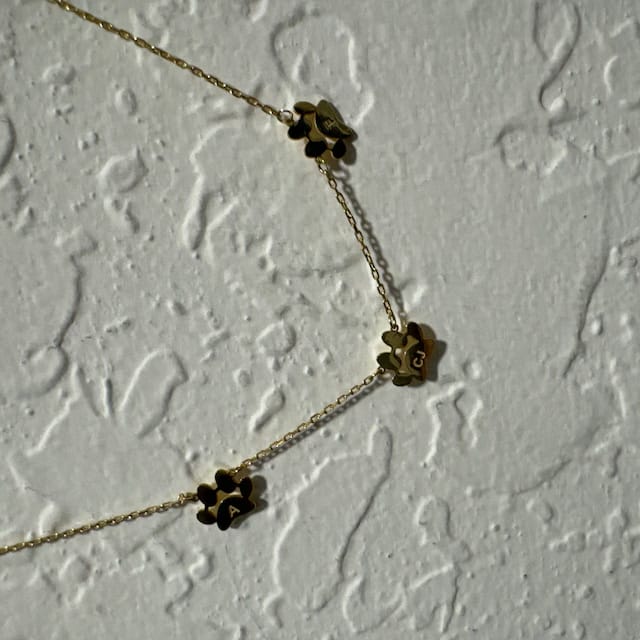 Customer photo review of Gepersonaliseerde poot naamketting – losse poten