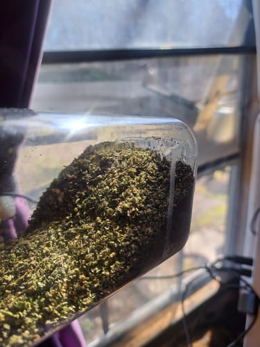 Customer photo review of Sugar Shake - 1oz