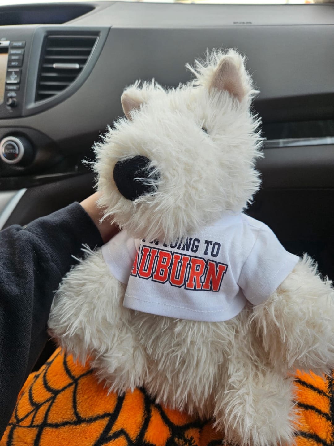 Customer photo review of Custom Stuffed Animal T‑Shirt — Fits 6–8 in Plush