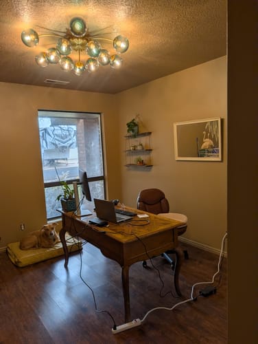 Customer photo review of Glam Bloom 12-Light Blue Glass Bubble Semi Flush Chandelier