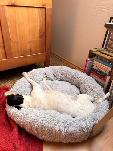 Customer photo review of Puppery Hundebett Wolke 7 - Das Original