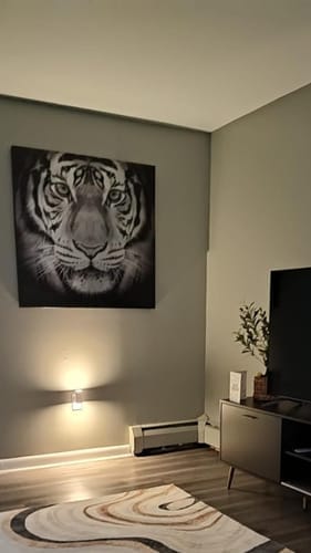 Kundefotografisk anmeldelse af LumiSense