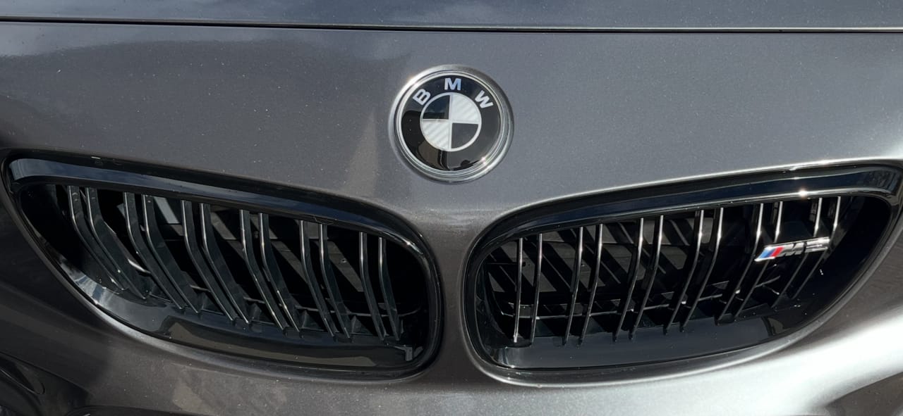Customer photo review of BMW EMBLEM BADGE - BLACK & GREY