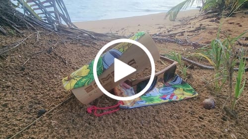 Customer video review of Safari Black