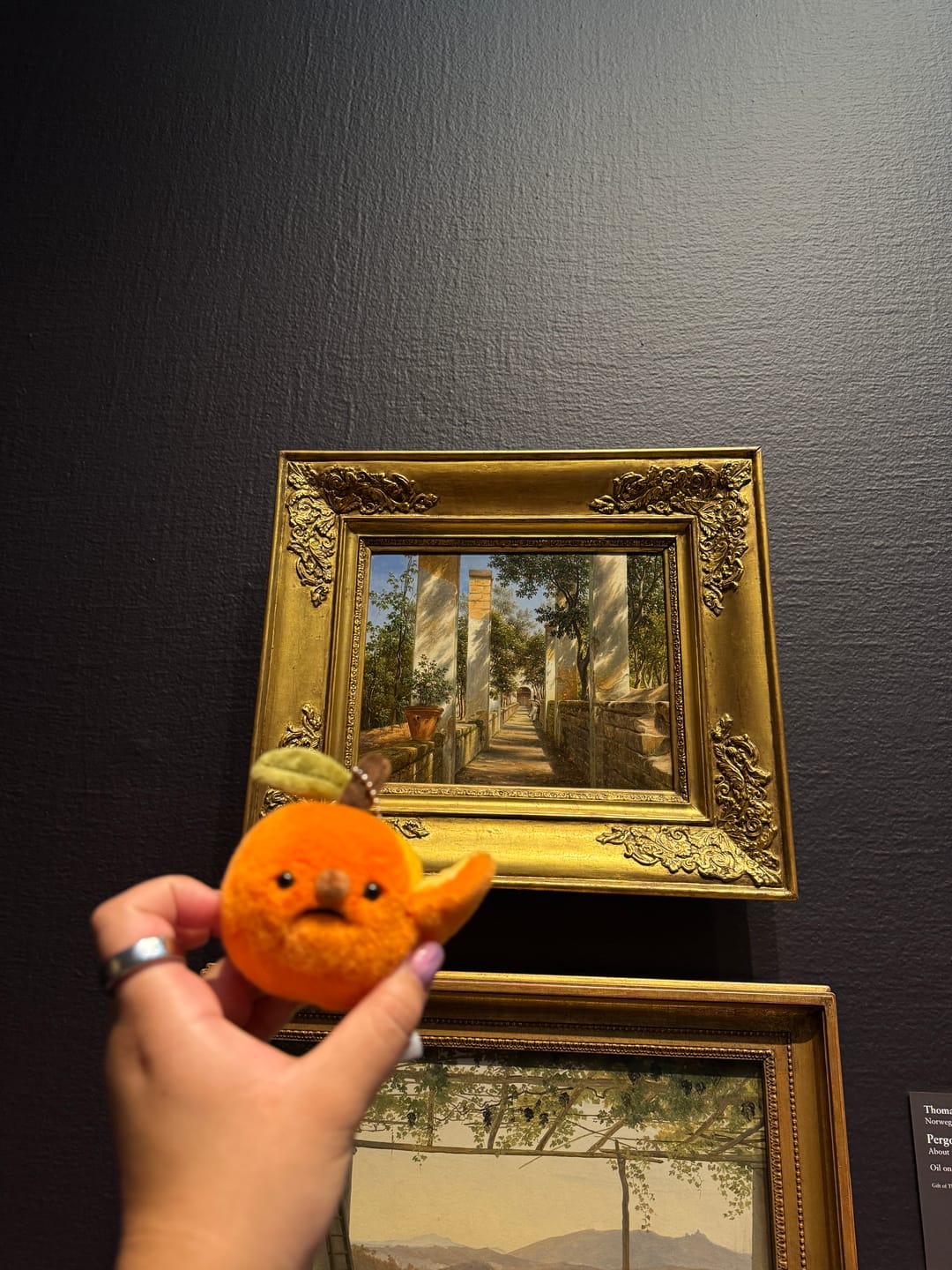 Customer photo review of Forgotten Half-Peeled Orange