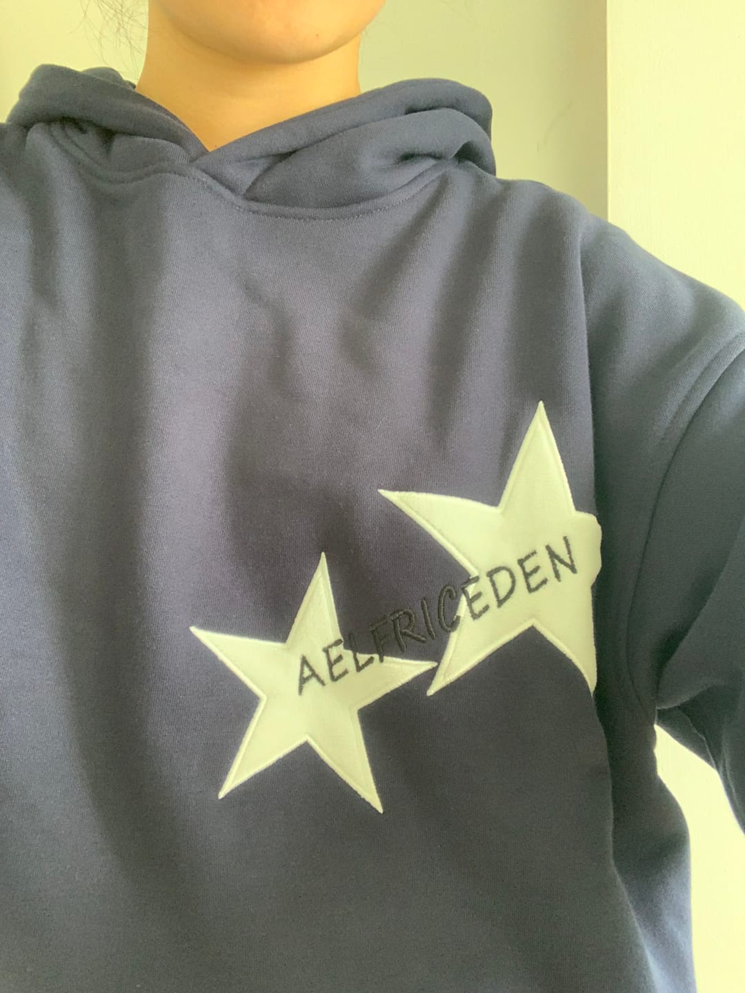 Customer photo review of Aelfric Eden Star Color Contrast Hoodie